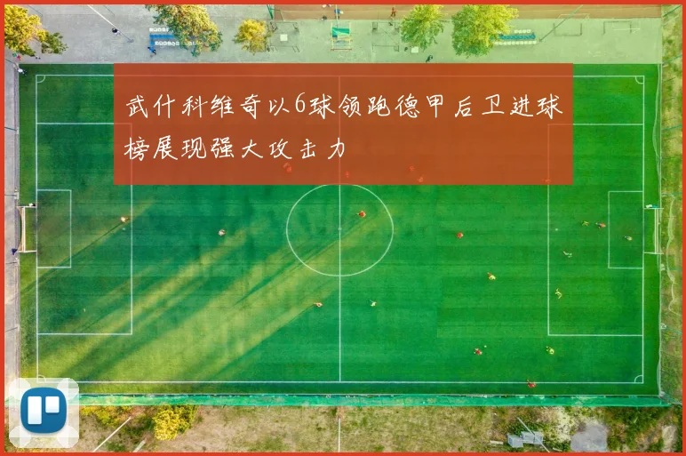 武什科维奇以6球领跑德甲后卫进球榜展现强大攻击力